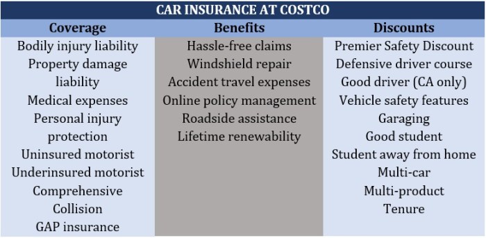 Car insurance at Costco: What members need to know | Insurance Business ...